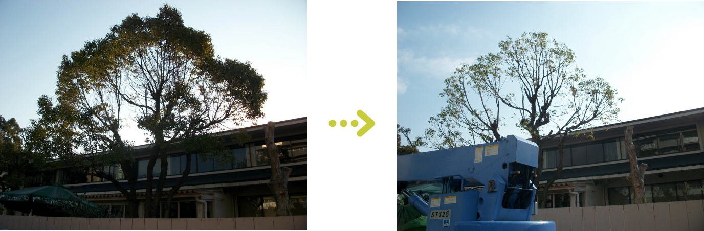 宝塚市の植栽管理施工事例２のご紹介。