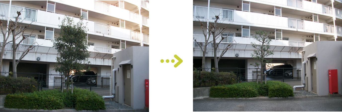 神戸市北区の植栽管理施工事例１のご紹介。