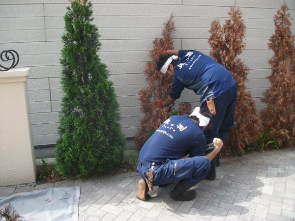 植栽管理の改善・サポート工事