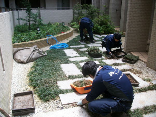 植栽管理の見積例・算出方法