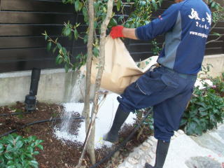 木に元気がない・花が咲かない事でお困りのお客様