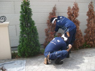 中長期計画による管理費用削減。